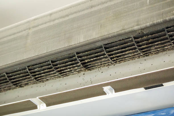 Best HVAC Duct Inspection Services  in Grosse Pointe Farms, MI